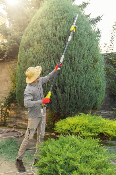 Best Soil Testing and Treatment  in Eclectic, AL